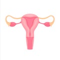 Female reproductive organs flat style colorful illustration. Internal organ icon, logo. Anatomy, medicine concept