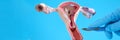 Female reproductive system anatomy uterus and scalpel closeup