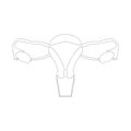 Female reproductive system, circuit sketch hand-drawn illustration Royalty Free Stock Photo