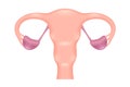 Female Reproductive System in a closed form