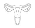 Female reproductive system in line style. Anatomically correct female reproductive organs. Medical educational content