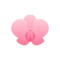 Female reproductive system symbol. Vector flat illustration. Vulva in form of flower symbol isolated on white background. Design