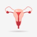 Female reproductive system uterus cervix ovaries and fallopian tubes anatomy biology medicine healthcare concept flat