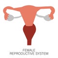 Female Reproductive System Uterus icon in flat style isolated on white background. Human anatomy medical organ vector Royalty Free Stock Photo