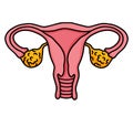 Female reproductive system, uterus and ovaries pink icon