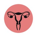female reproductive system women uterus ovary icon Royalty Free Stock Photo