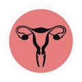 female reproductive system women uterus ovary icon