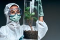 Female researcher in protective workwear standing with green seedlings of new sorts of horticultural plants