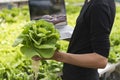 Female researchers examine vegetables for capsule filling. Food experiment ideas for a better lifestyle-selective focus, copy