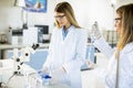Female researchers in white lab coat working in the laboratory Royalty Free Stock Photo