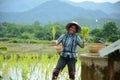 Female Rice farmers in thailand
