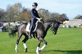 Female rider in dressage training East Anglia