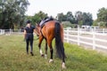 Rider in equestrian clothes holding the reins and leading horse, side view Royalty Free Stock Photo