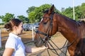 Female rider hugging her horse Royalty Free Stock Photo