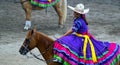 Female rider over her horse in blue dress