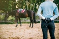 Female rider trains her horse, horseback riding Royalty Free Stock Photo