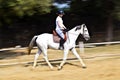 Female rider trains the horse Royalty Free Stock Photo