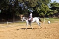 Female rider trains the horse Royalty Free Stock Photo