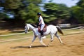 Female rider trains the horse Royalty Free Stock Photo