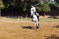 Female rider trains the horse Royalty Free Stock Photo