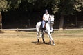 Female rider trains the horse Royalty Free Stock Photo