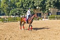 Female rider trains the horse Royalty Free Stock Photo