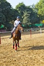 Female rider trains the horse Royalty Free Stock Photo