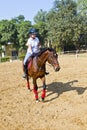 Female rider trains the horse Royalty Free Stock Photo