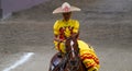 Female rider in yellow dress holding reins