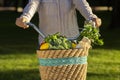 Female riding a bike with fresh vegetables from market Royalty Free Stock Photo