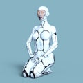 Female robot