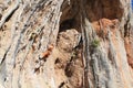 Female rock climber on handholds on challenging route on cliff Royalty Free Stock Photo