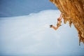 Female rock climber jumping on handholds on challenging route on cliff