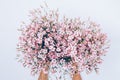 Female's hand holding big lush bouquet of pink gypsophilia