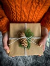 Female`s hands in pullover holding Christmas gift box decorated with evergreen branch and pine cone. Royalty Free Stock Photo