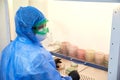 Female science researcher in protective uniform and equipment works with petri dish in laboratory Royalty Free Stock Photo