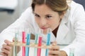 female scientist analysing rack test tubes Royalty Free Stock Photo