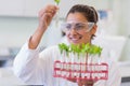 Woman wearing lab coat and goggles examining green seedlings in red test tube rack in laboratory Royalty Free Stock Photo