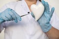 female scientist, doctor holding heart model, microprocessor, microchip, biochip tweezers for immunocytochemical studies heart,