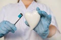 female scientist, doctor holding heart model, microprocessor, microchip, biochip tweezers for immunocytochemical studies heart,