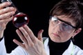 Female Scientist experimenting Royalty Free Stock Photo