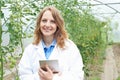 Female Scientist In Greenhouse Researching Tomato Crop Royalty Free Stock Photo