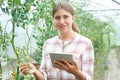 Female Scientist In Greenhouse Researching Tomato Crop Royalty Free Stock Photo