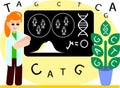 Female scientist in the lab coat analysing and presenting results of genetic case-control studies