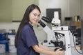 Female scientist looking in microscope in laboratory microscope Royalty Free Stock Photo