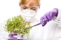 Female scientist looking at plant sample