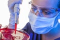 Female Scientist Pipette & Petri Dish In Laboratory Royalty Free Stock Photo