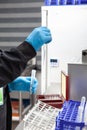 Female scientist preparing slides for karyotype and fluorescence in situ hybridization at the laboratory