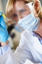 Female Scientist Studying Test Tube In Laboratory