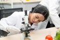 Female Scientist using Microscope in Laboratory. Female Researcher wearing white Coat sitting at Desk and looking at Samples.